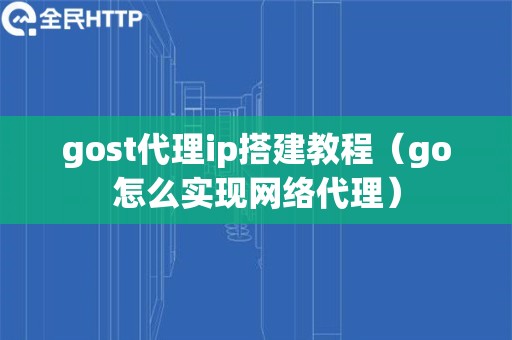 gost代理ip搭建教程（go怎么实现网络代理）