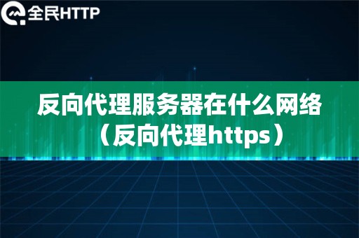 反向代理服务器在什么网络（反向代理https）