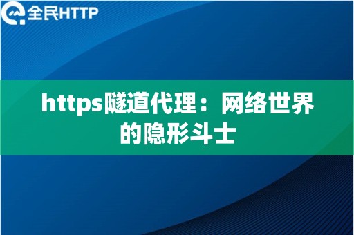 https隧道代理：网络世界的隐形斗士