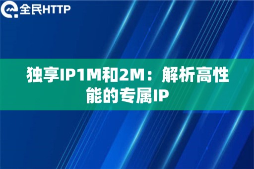 独享IP1M和2M：解析高性能的专属IP