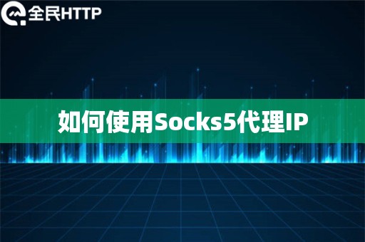 如何使用Socks5代理IP