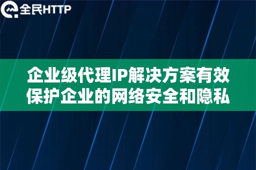 企业级代理IP解决方案有效保护企业的网络安全和隐私