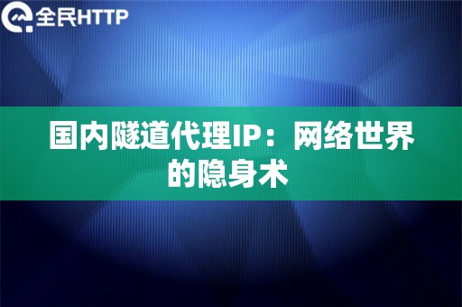 国内隧道代理IP：网络世界的隐身术 