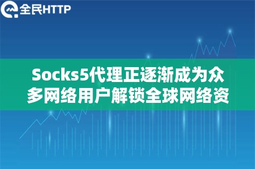 Socks5代理正逐渐成为众多网络用户解锁全球网络资源的重要工具