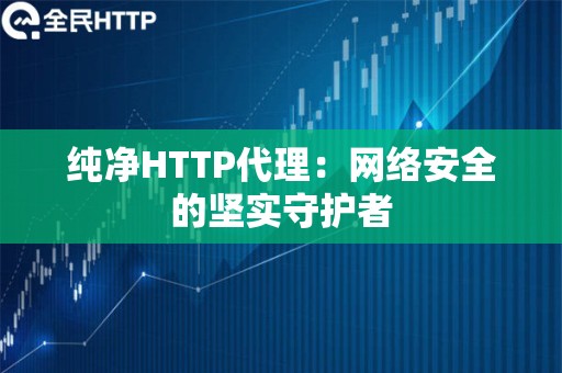 纯净HTTP代理：网络安全的坚实守护者