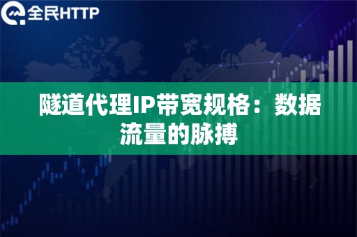 隧道代理IP带宽规格：数据流量的脉搏