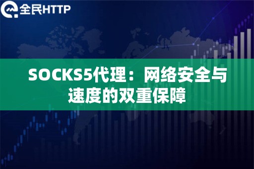 SOCKS5代理：网络安全与速度的双重保障