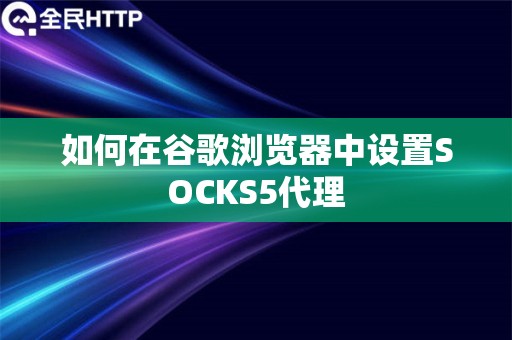 如何在谷歌浏览器中设置SOCKS5代理