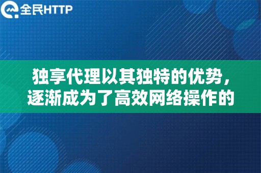 独享代理以其独特的优势，逐渐成为了高效网络操作的首选