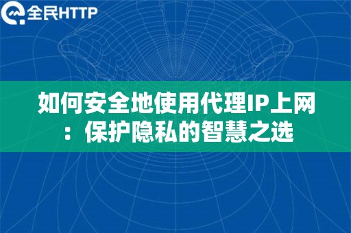 如何安全地使用代理IP上网：保护隐私的智慧之选