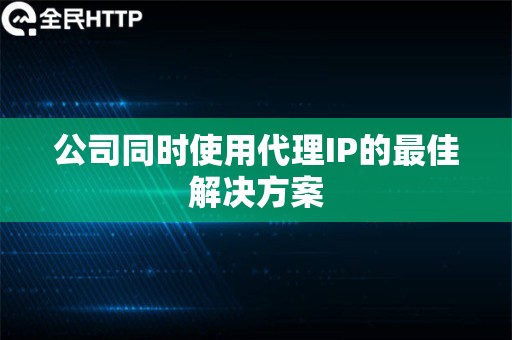 公司同时使用代理IP的最佳解决方案