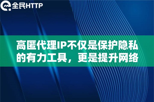 高匿代理IP不仅是保护隐私的有力工具，更是提升网络体验的良伴