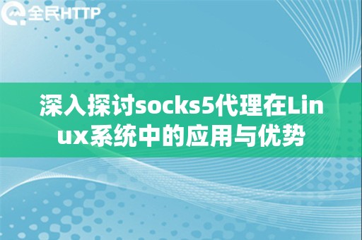 深入探讨socks5代理在Linux系统中的应用与优势