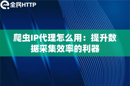 爬虫IP代理怎么用：提升数据采集效率的利器