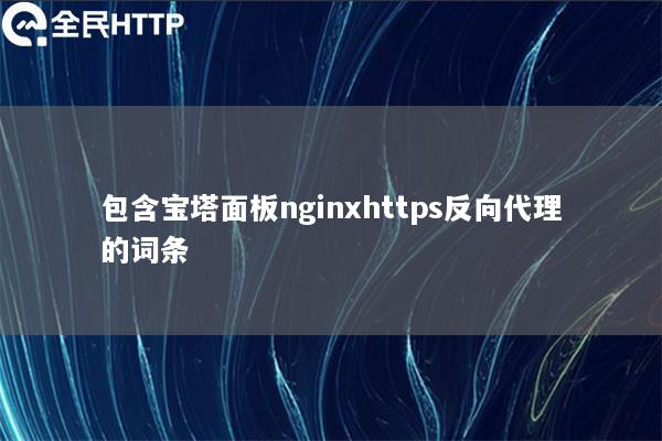 包含宝塔面板nginxhttps反向代理的词条