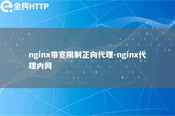 nginx带宽限制正向代理-nginx代理内网