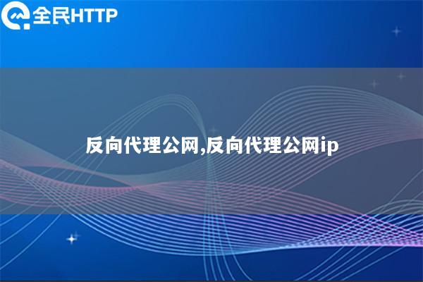 反向代理公网,反向代理公网ip