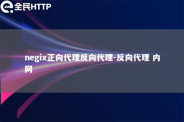 negix正向代理反向代理-反向代理 内网