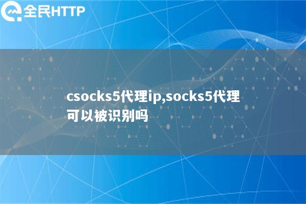 csocks5代理ip,socks5代理可以被识别吗