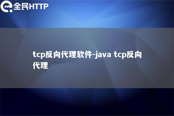 tcp反向代理软件-java tcp反向代理