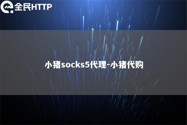 小猪socks5代理-小猪代购