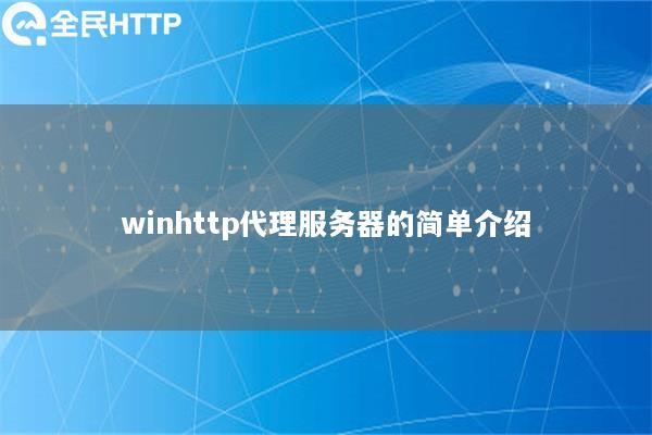 winhttp代理服务器的简单介绍