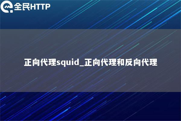 正向代理squid_正向代理和反向代理