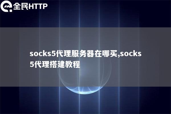 socks5代理服务器在哪买,socks5代理搭建教程