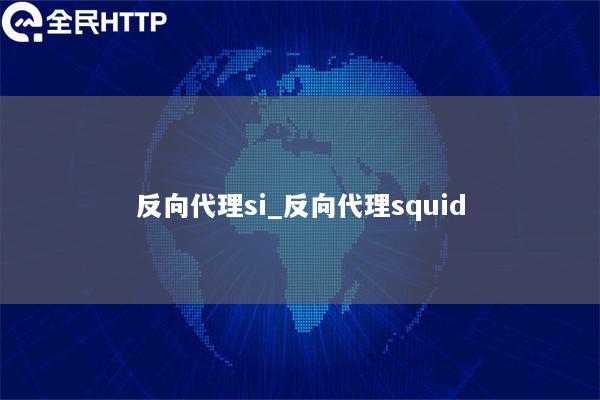 反向代理si_反向代理squid