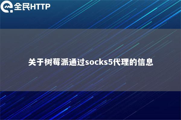 关于树莓派通过socks5代理的信息