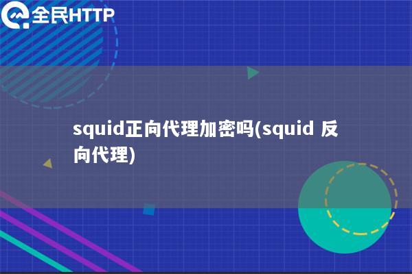 squid正向代理加密吗(squid 反向代理)