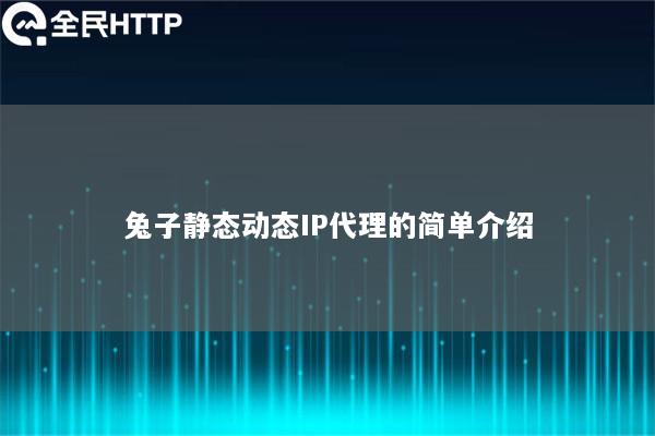 ipipgo静态动态IP代理的简单介绍