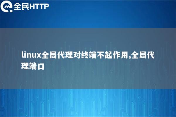 linux全局代理对终端不起作用,全局代理端口