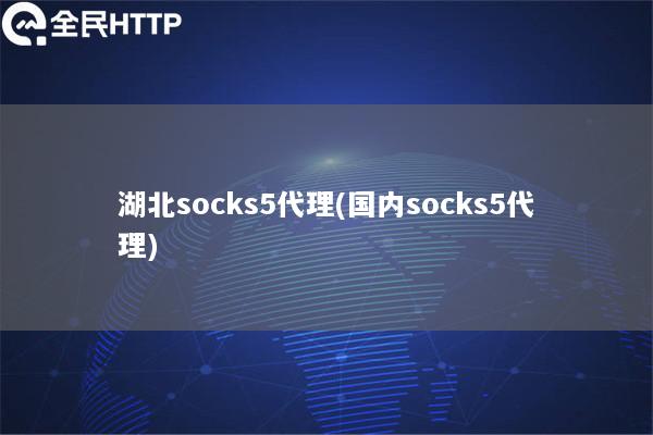 湖北socks5代理(国内socks5代理)