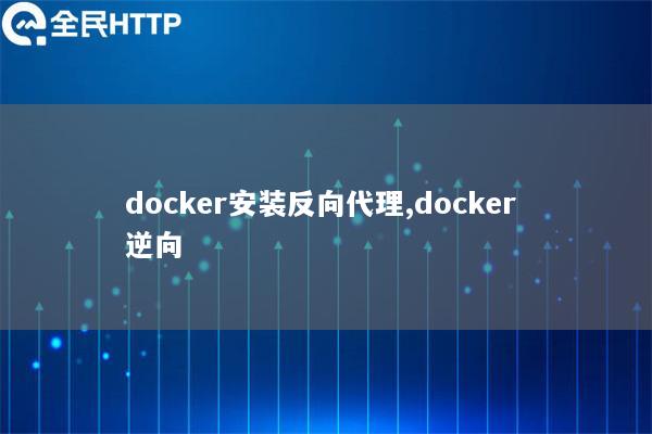 docker安装反向代理,docker 逆向