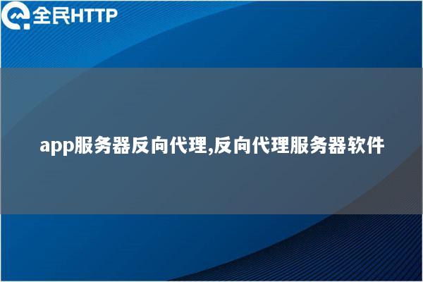 app服务器反向代理,反向代理服务器软件