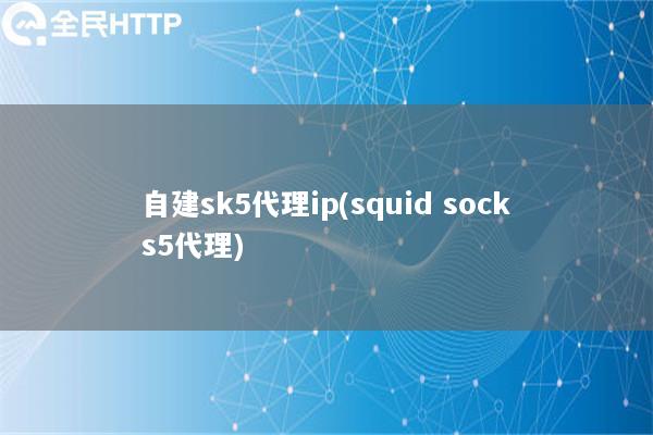 自建sk5代理ip(squid socks5代理)