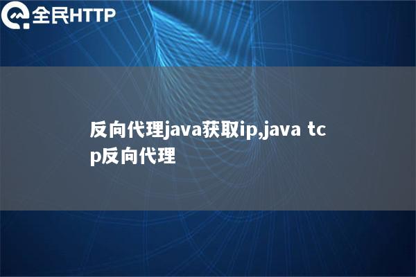 反向代理java获取ip,java tcp反向代理