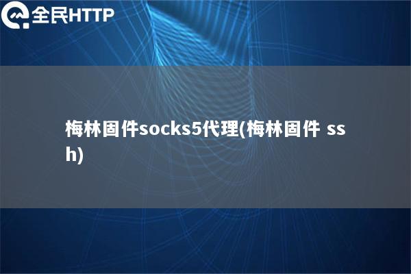 梅林固件socks5代理(梅林固件 ssh)