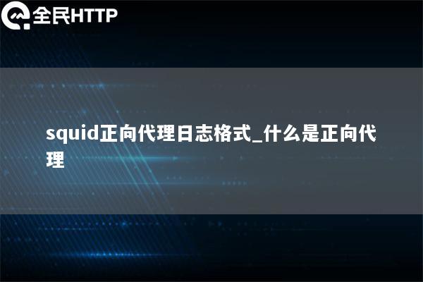 squid正向代理日志格式_什么是正向代理