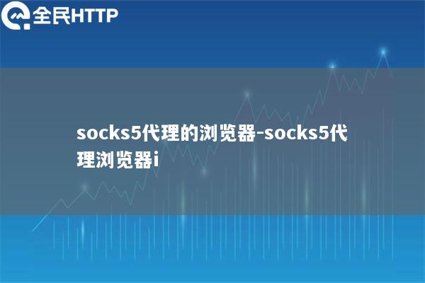 socks5代理的浏览器-socks5代理浏览器i