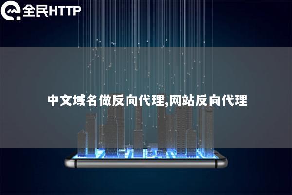 中文域名做反向代理,网站反向代理